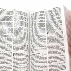 Biblia cartera mujer rosa con broche RVR1960 (7898521818142) - Vista abierta 3