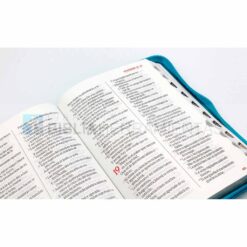 Biblia letra gigante azul RVR1960