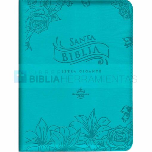 Biblia letra gigante azul RVR1960