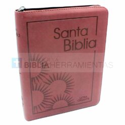 Biblia letra gigante café RVR1960