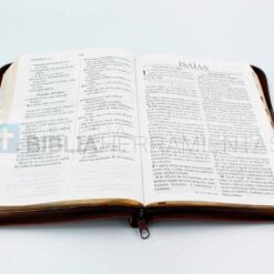 Biblia letra gigante café RVR1960