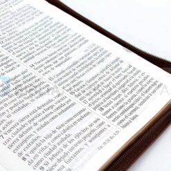 Biblia letra gigante café RVR1960