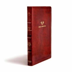 Biblia del Ministro café RVR1960 - Perspectiva 1