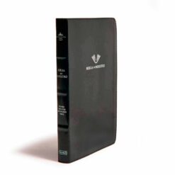 Biblia del Ministro negra - Perspectiva 1