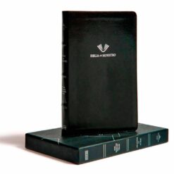 Biblia del Ministro negra - Perspectiva 2