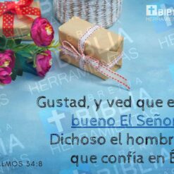 Pack 1 de 25 versículos para redes sociales con logotipo BHL - versículo 11