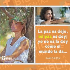 Pack 1 de 25 versículos para redes sociales con logotipo BHL - versículo 13