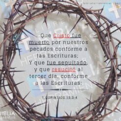 Pack 1 de 25 versículos para redes sociales con logotipo BHL - versículo 19