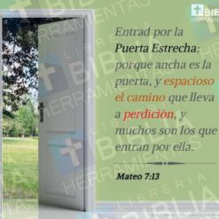 Pack 1 de 25 versículos para redes sociales con logotipo BHL - versículo 20