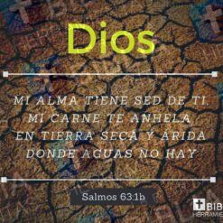 Pack 1 de 25 versículos para redes sociales con logotipo BHL - versículo 4