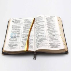 Biblia Rey de reyes Crema - abierta 2