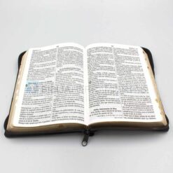 Biblia Rey de reyes café - abierta 1