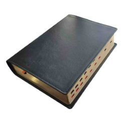 Alternative view of Biblia De Estudio Teológico Reina Valera 1960 Piel Negra