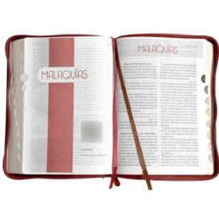 Alternative view of Biblia Reina Valera 1960 Letra Gigante Imit Piel Con Índice Café con León