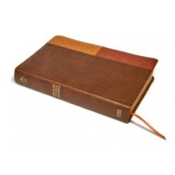 Alternative view of Biblia De Estudio Arcoíris Rvr1960 Imitación Piel Café