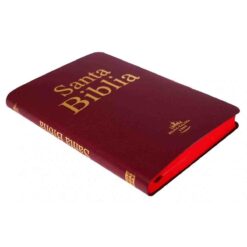 Alternative view of Biblia Cristiana Para Regalo Reina Valera 1960 A.t. Y N. T. Vino