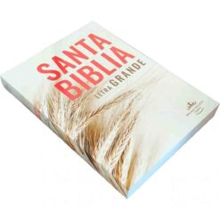 Alternative view of Biblia Económica Reina Valera 1960 Letra Grande Pasta Suave
